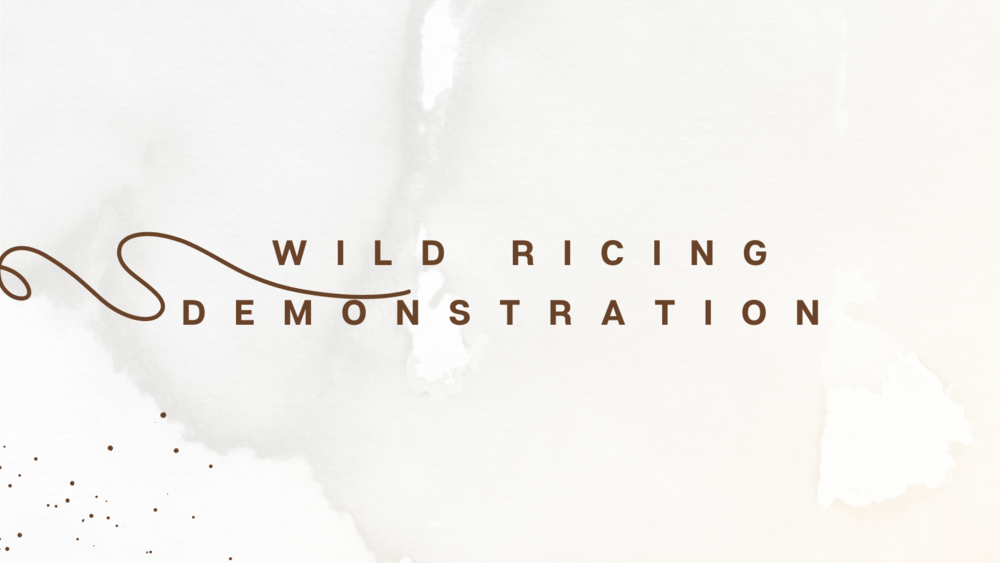 Wild Ricing Demonstration 