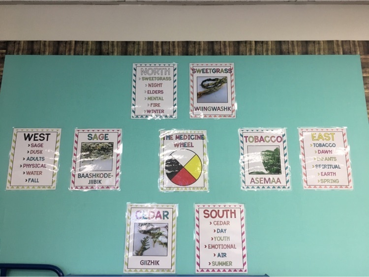 medicine wheel bulletin board