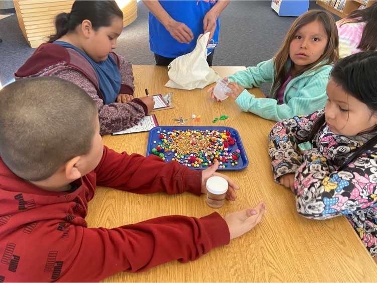 Grade 3 Bakken Museum